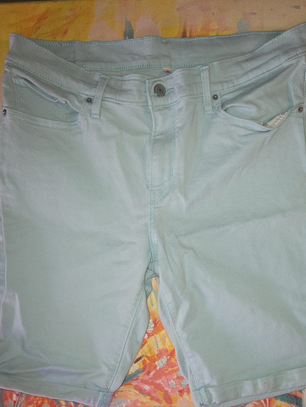 Levi's Men's Mint Green Flat Front Shorts